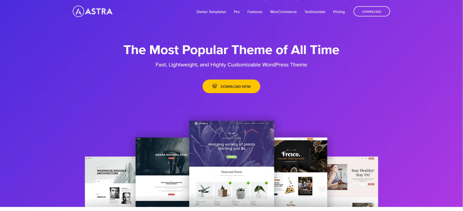 WordPress Themes