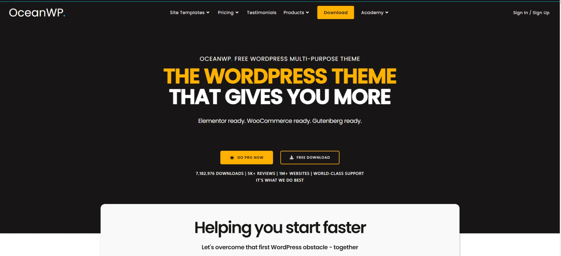 WordPress Themes