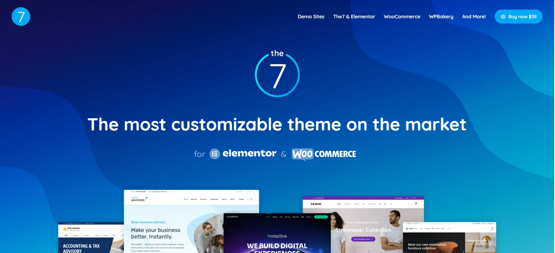 WordPress Themes